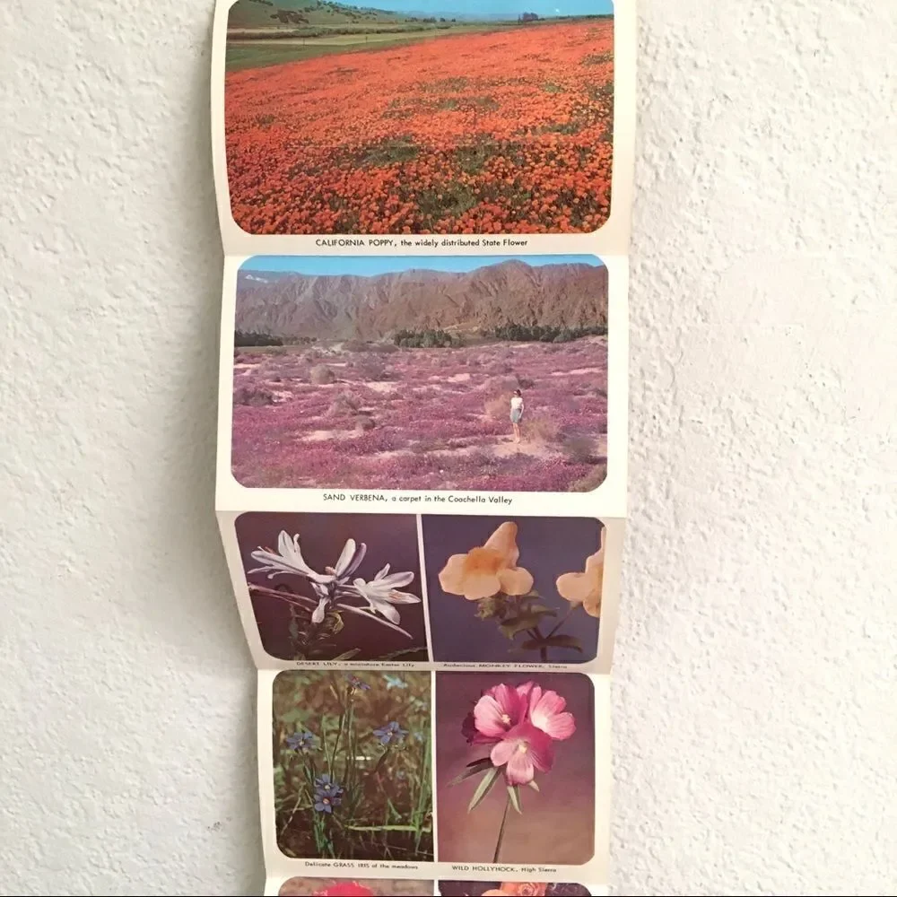 ‎Vintage California wildflower postcard set
